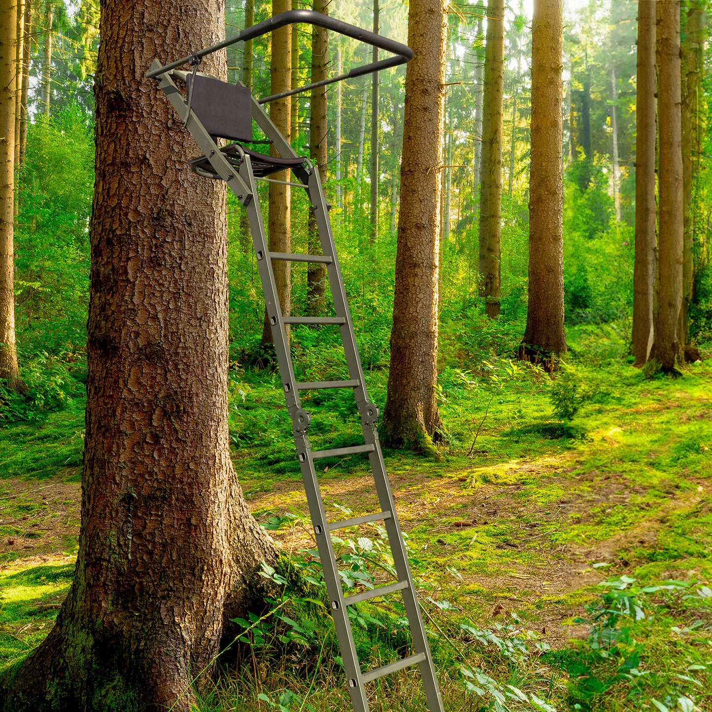 Ansitzleiter klappbar - Hunters World