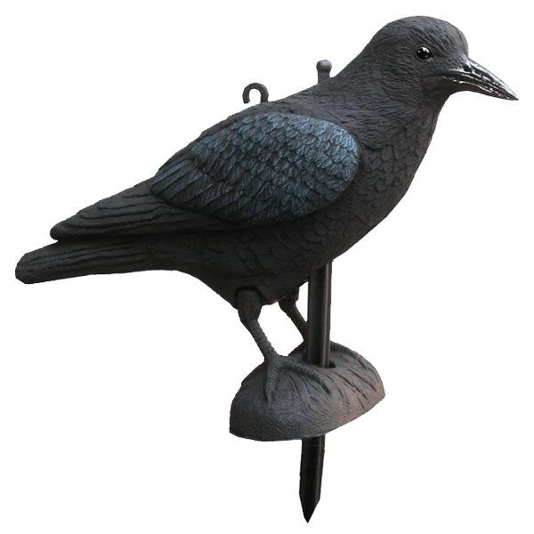 Lockvogel Krähe - Hunters World