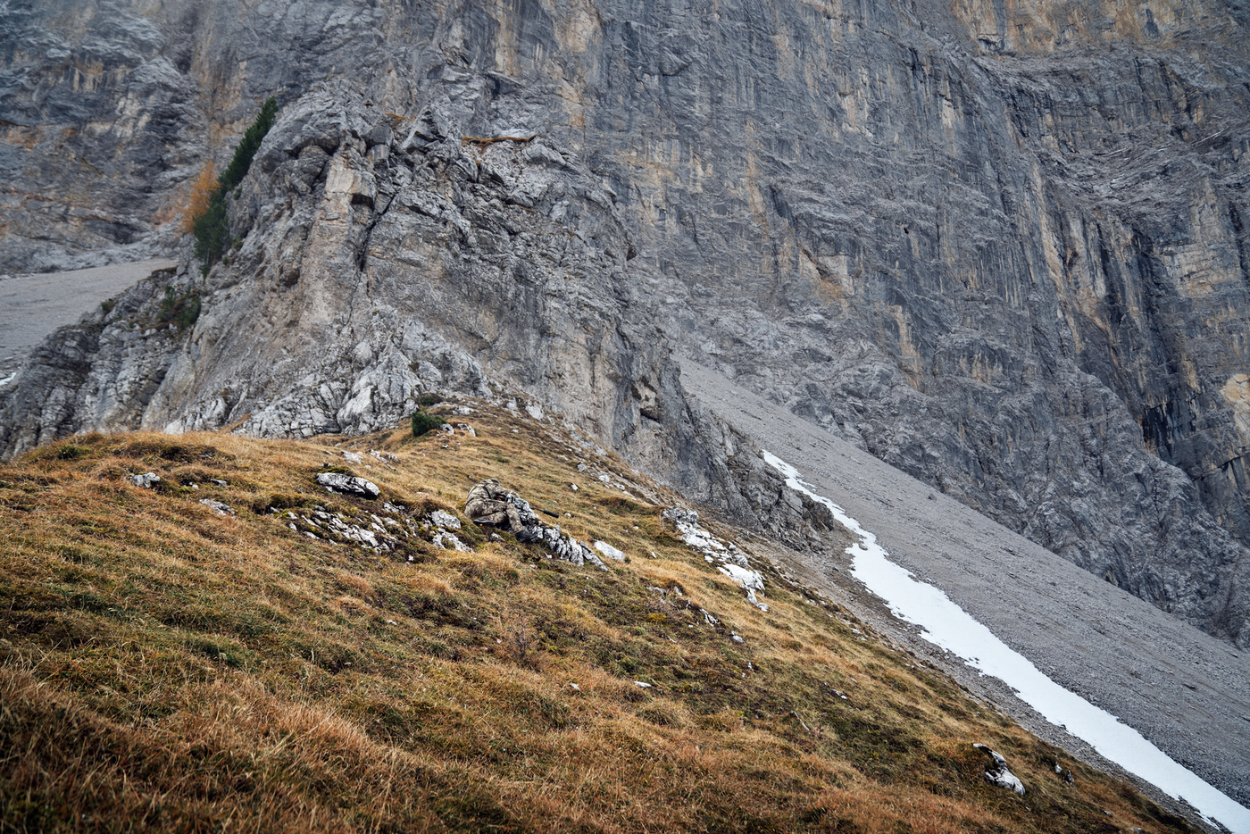 Härkila Mountain Hunter Expedition HWS Packable Jacke