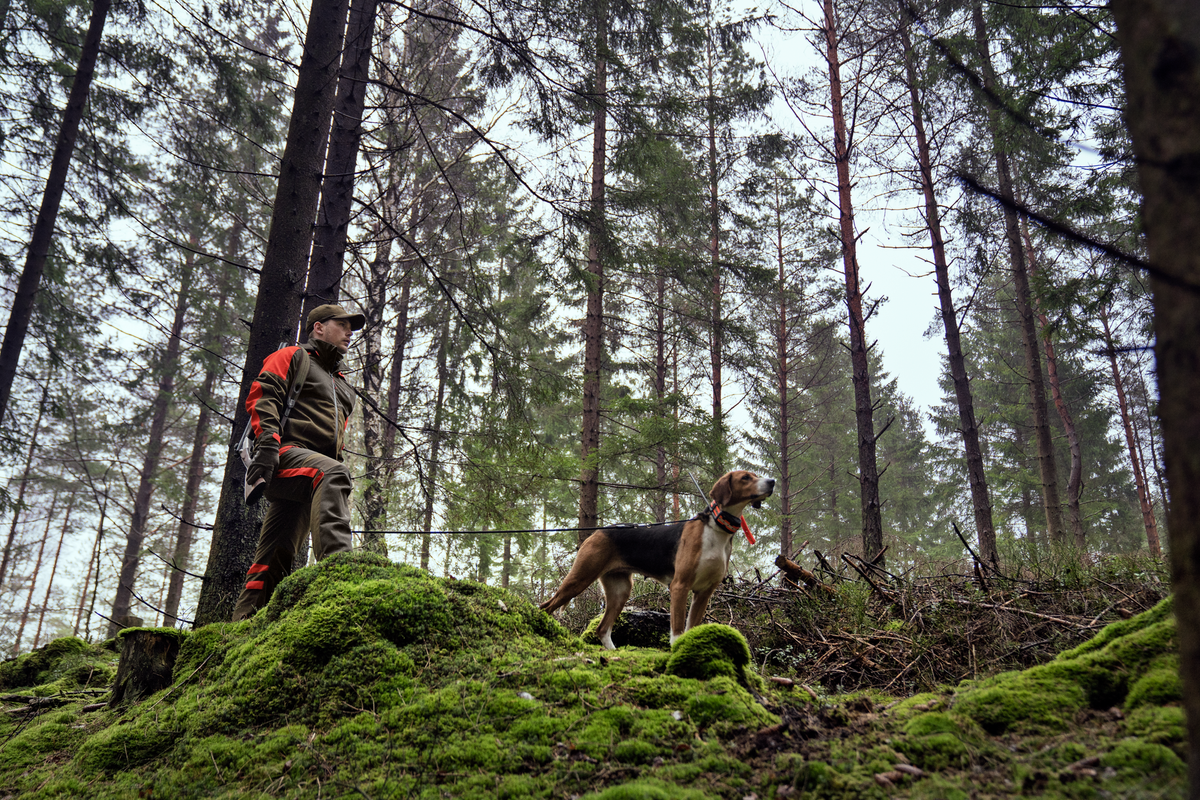 Härkila Pro Hunter Dog Keeper GTX Jacke