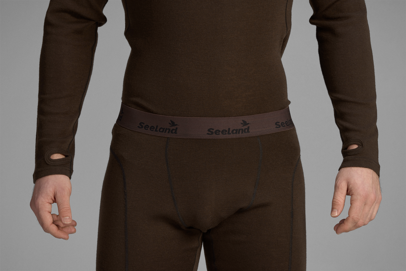 Seeland Climate Base Layer