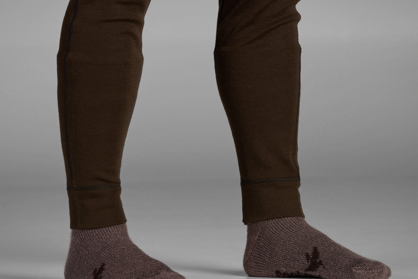 Seeland Climate Base Layer
