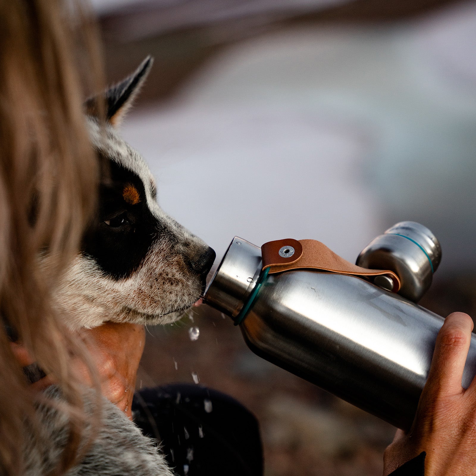 Isolierflasche "Modern" - Hunters World 