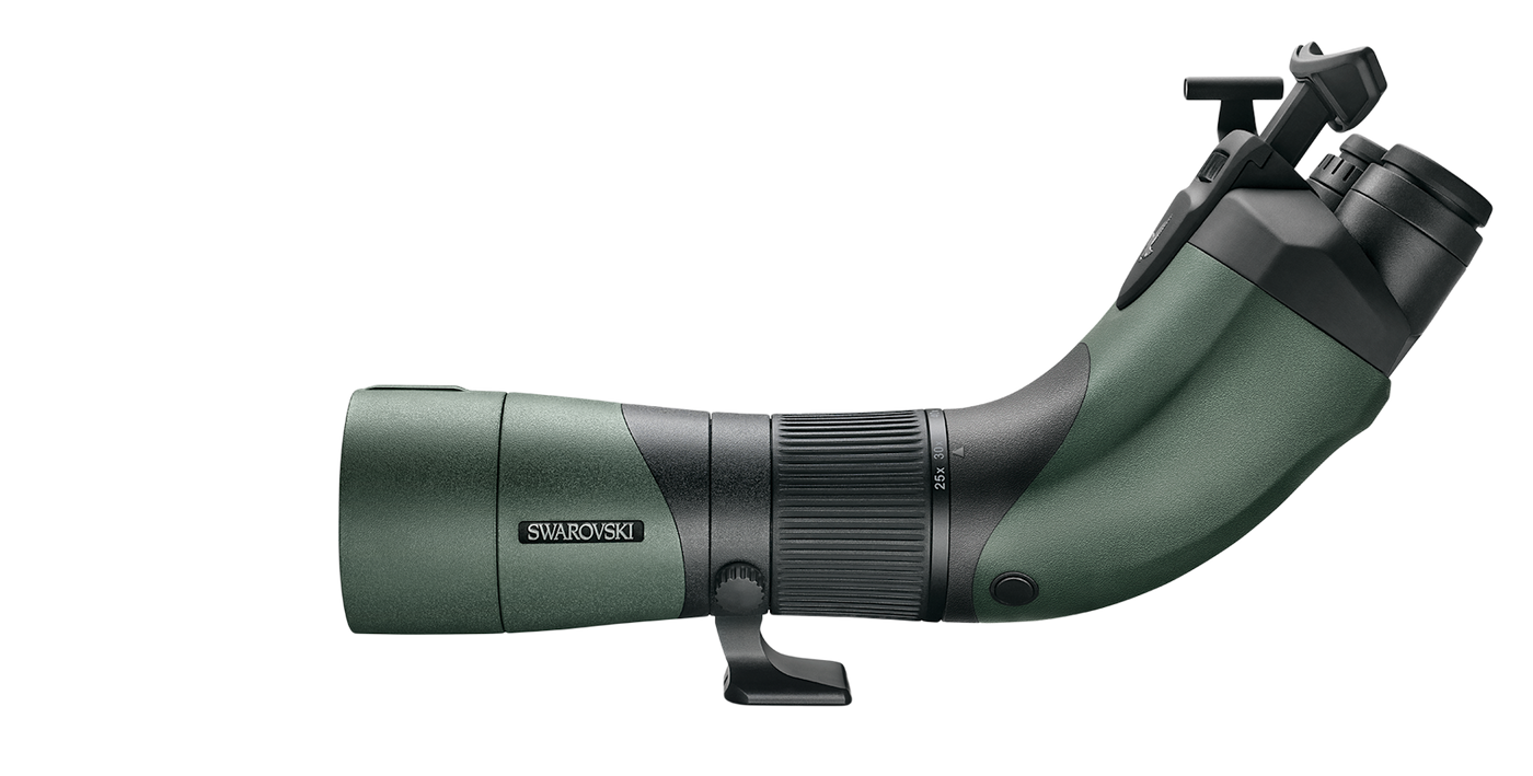 BTX 30x65