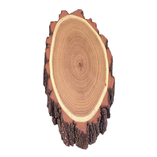 Akazienschilder für Rehtrophäen, 20x11 Reh