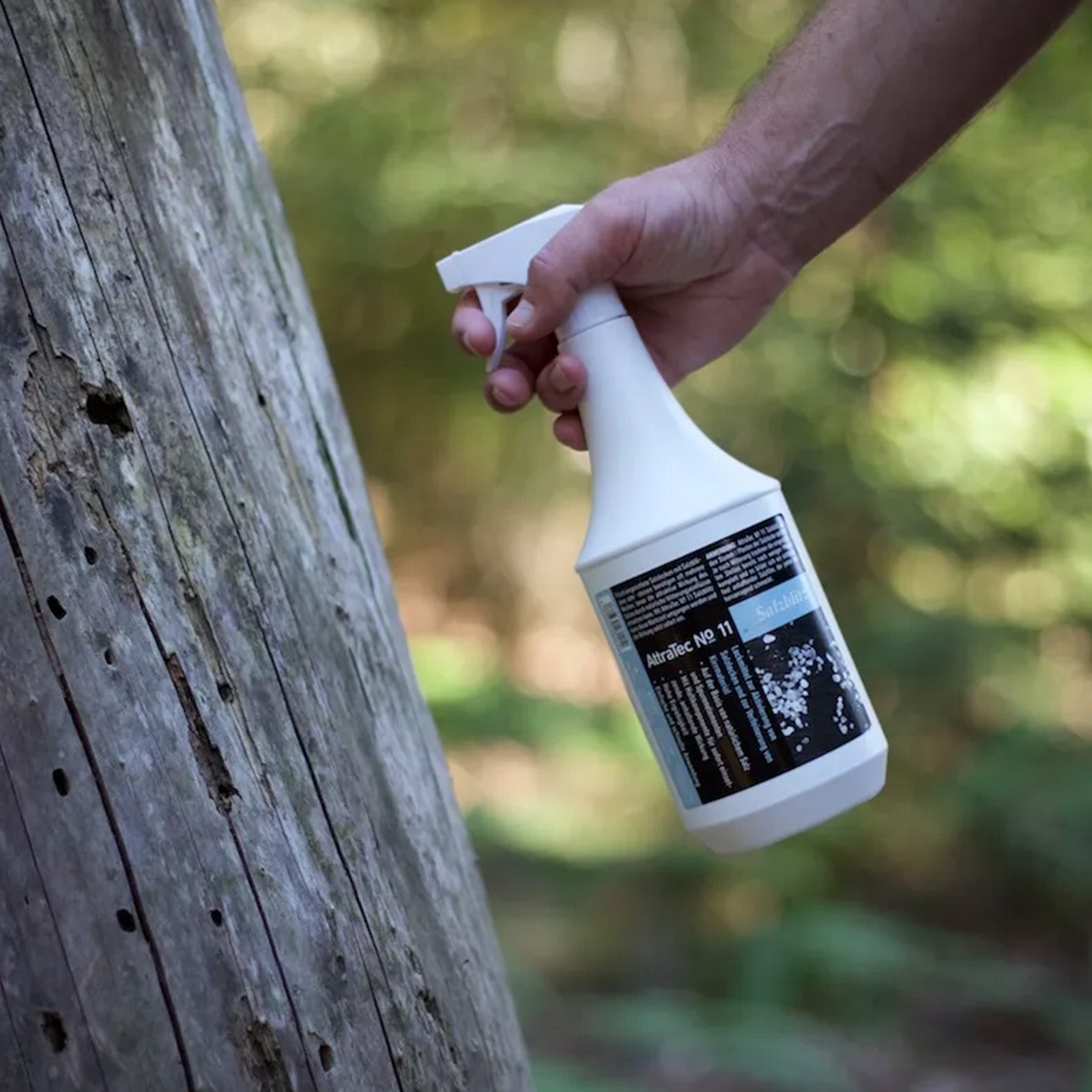 ATTRATEC No. 11 Salzblitz - Hunters World 