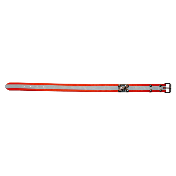 Biothane® Schweißhalsung, orange, B-Th.Schweißhal.orange 50cm