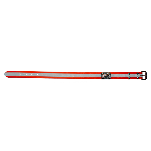Biothane® Schweißhalsung, orange, B-Th.Schweißhal.orange 55cm