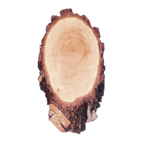 Birkenschilder für Rehtrophäen, ca. 20x12
