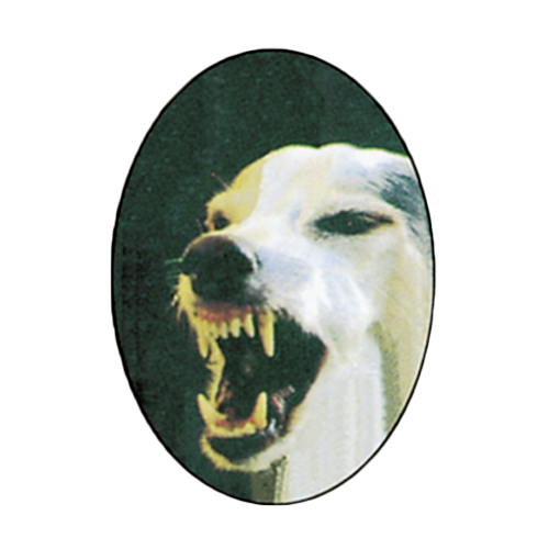 Elektronische Hundeabwehr, Ansicht 2