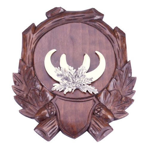 Handgeschnitzte Keilertrophäenschilder aus Lindenholz, 15