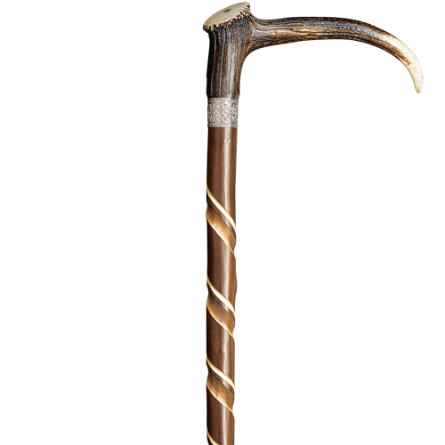 Herrenspazierstock, mit Hirschhorngriff, Kastanie, mit HH, Ansicht 3