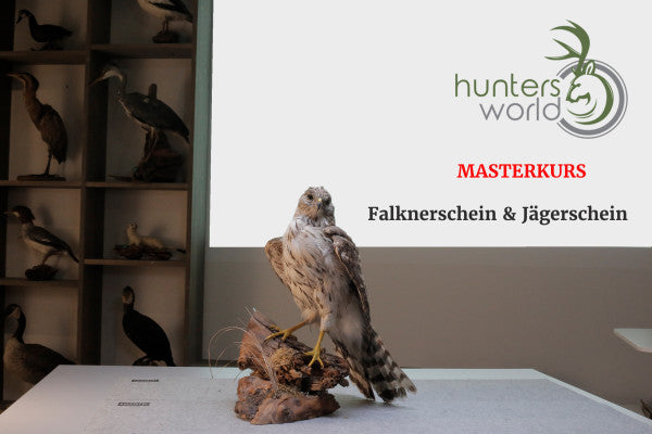 Masterkurs für die Jäger & Falkner-Prüfung