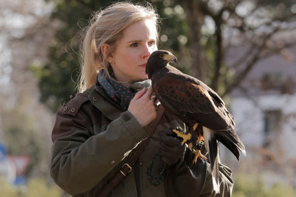 Falken-Wanderung - Hunters World 