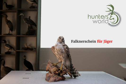 Falknerschein für Jäger - Hunters World 