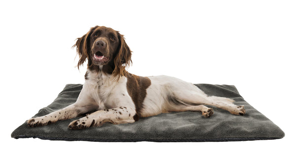 Hunde-Thermobett