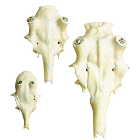 Künstlicher Rothirschschädel - Hunters World 