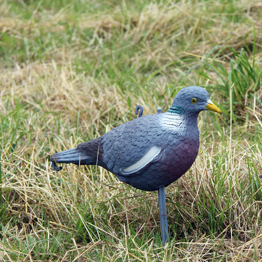 Lockvogel Ringeltaube - Hunters World 