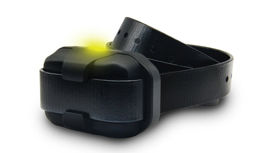 DOGTRA Zusatzhalsband für 640X / 642X - Hunters World 