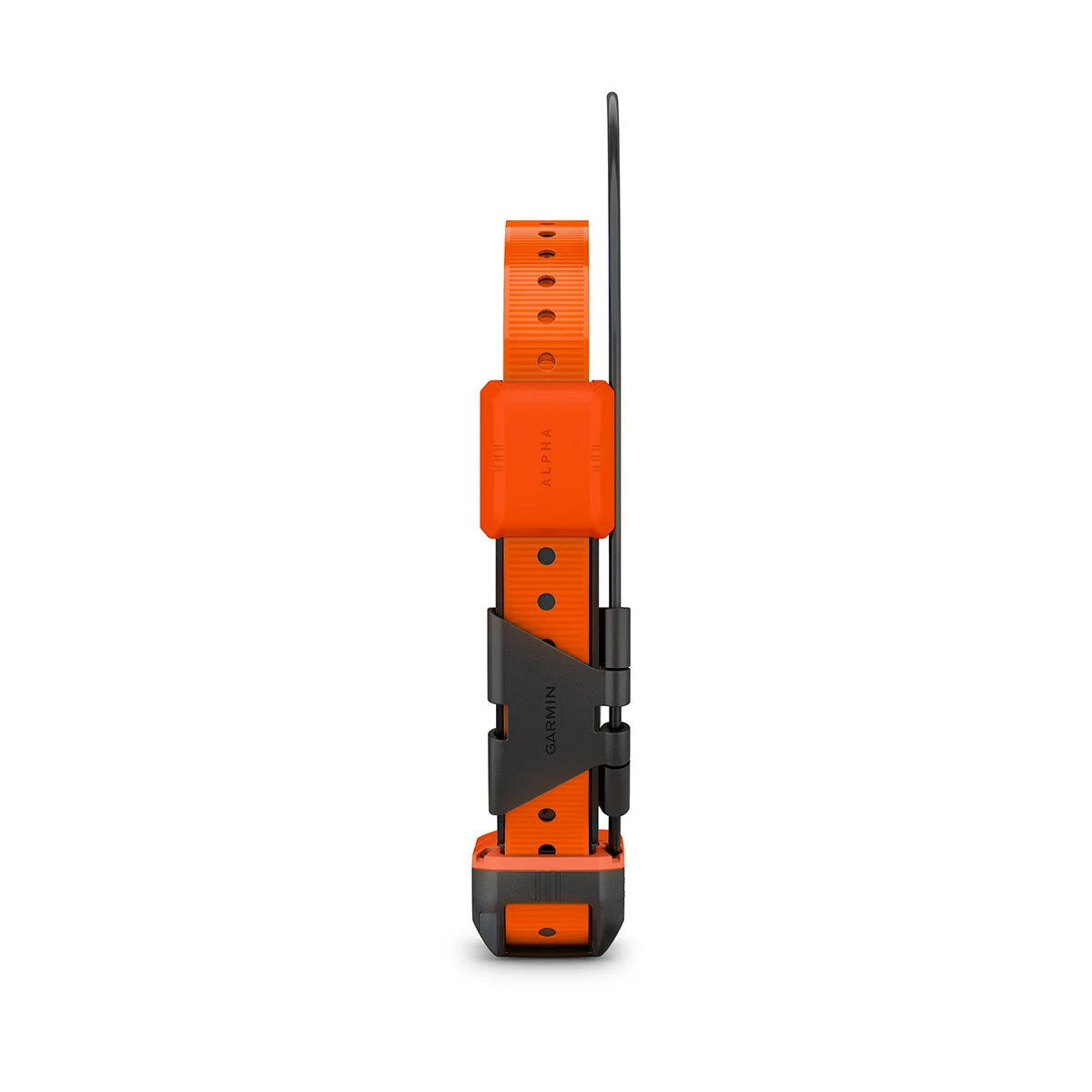 Alpha® T 20 K GPS-Hundehalsband