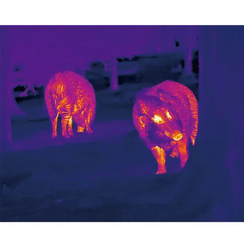 NOCPIX Lumi P13 Wärmebildkamera - Hunters World 