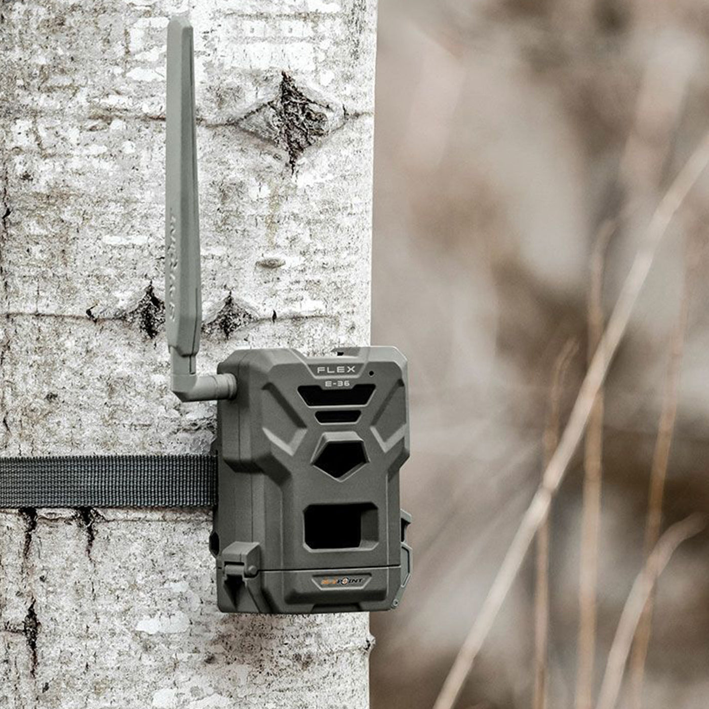 SPYPOINT Flex E-36 Wildkamera