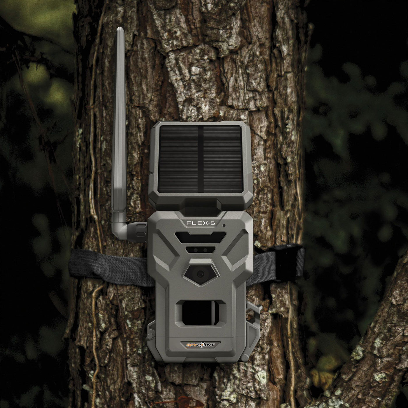 SPYPOINT Flex-S Wildkamera