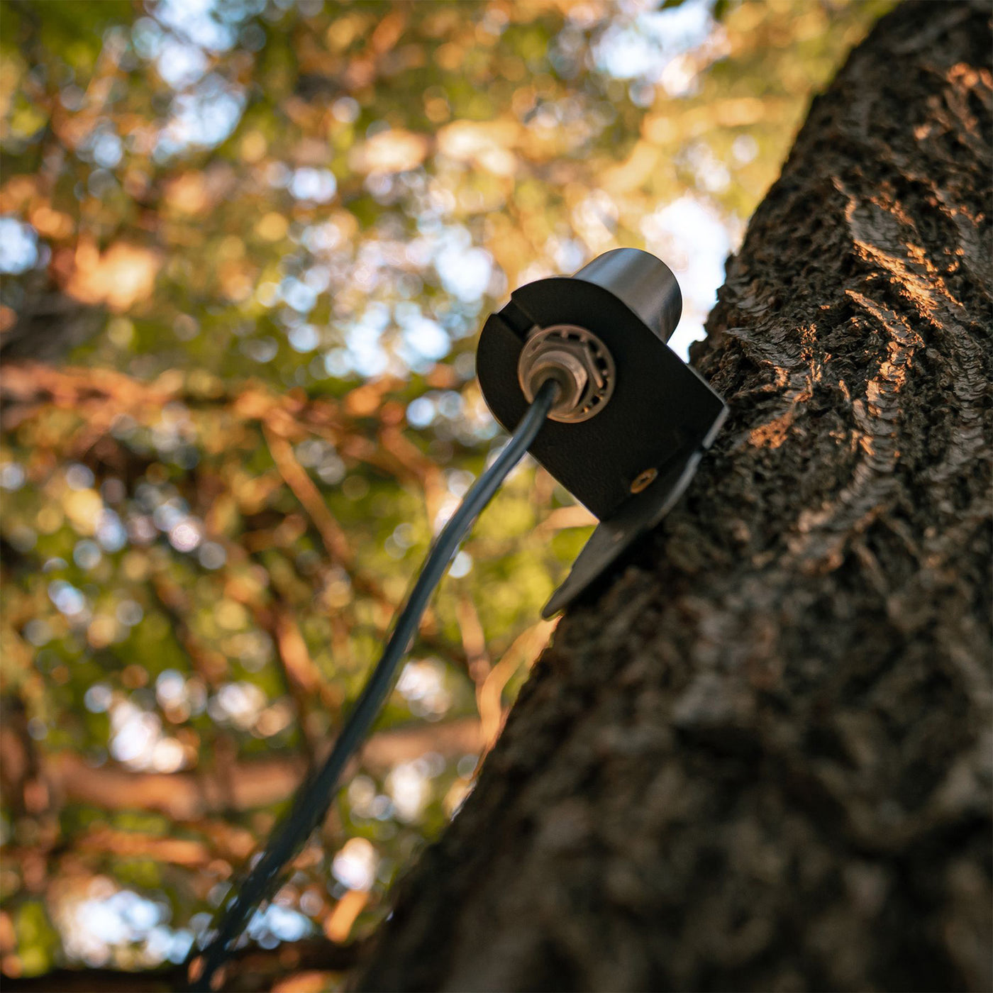 SPYPOINT Mobilfunkantenne