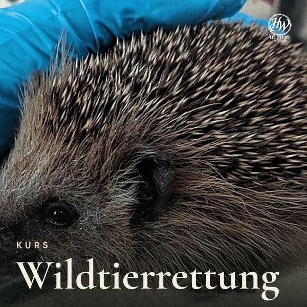Wildtier-Rettung