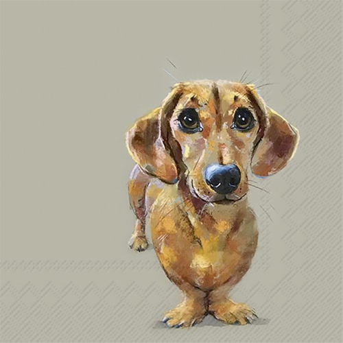 Zelltuchservietten, 20 Stück im Cellopack, Dog Buddy, Dog Buddy