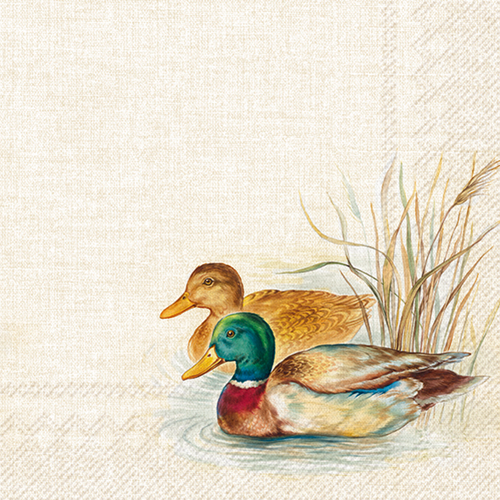Zelltuchservietten, 20 Stück im Cellopack, Entenpaar, Ducks