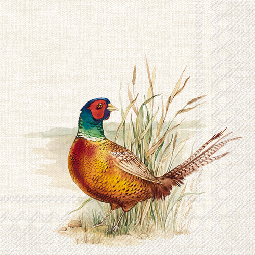 Zelltuchservietten, 20 Stück im Cellopack, farbiges Fasan, Pheasant