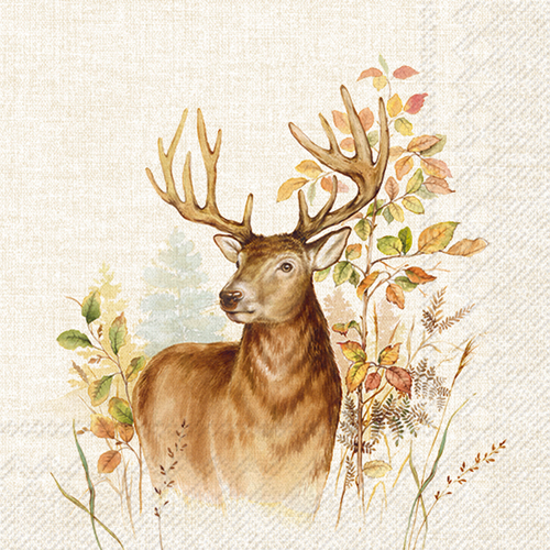 Zelltuchservietten, 20 Stück im Cellopack, Hirsch, Deer