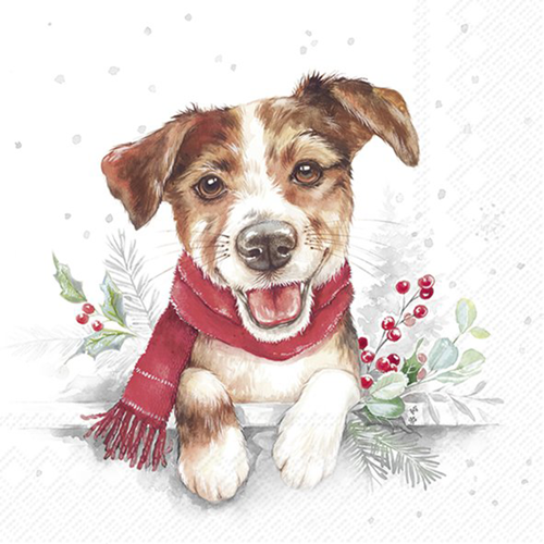Zelltuchservietten, 20 Stück im Cellopack, Hund Weihnachten, Hund Weihna