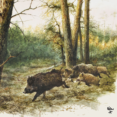 Zelltuchservietten, 20 Stück im Cellopack, Wild Boars, Wild Boars